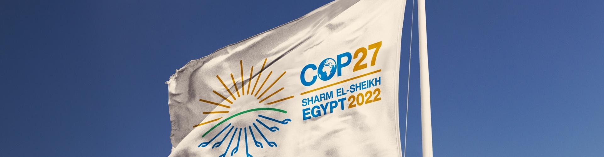 COP27 flag